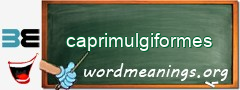 WordMeaning blackboard for caprimulgiformes